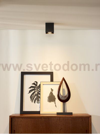 Потолочный светильник Lucide 09101/01/30 BODI