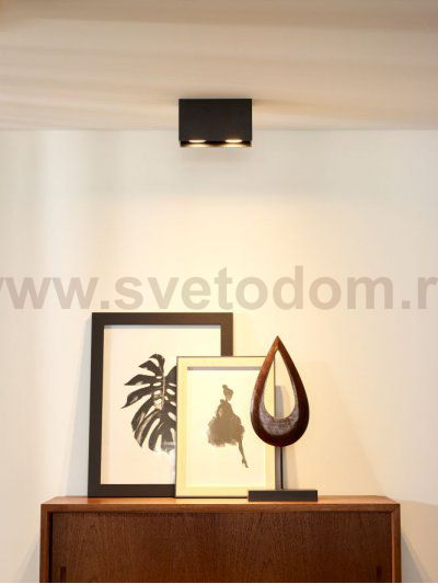 Потолочный светильник Lucide 09101/02/30 BODI