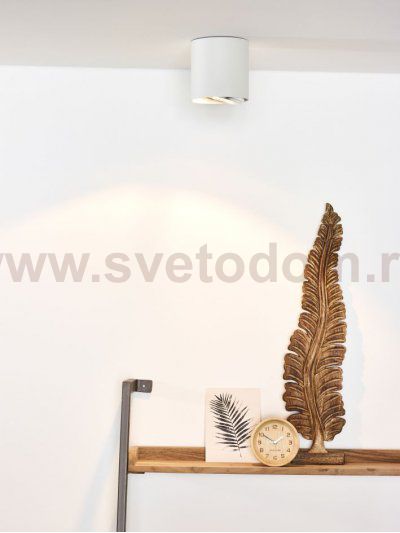 Потолочный светильник Lucide 09910/12/31 DIALO/LED