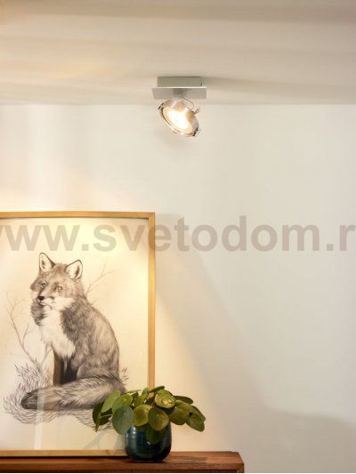 Потолочный светильник Lucide 09988/12/12 SPECTRUM LED