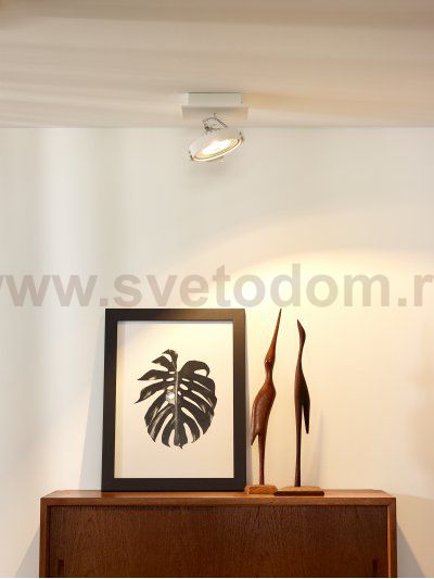 Потолочный светильник Lucide 09988/12/31 SPECTRUM LED