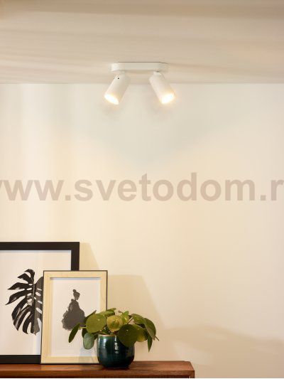 Потолочный светильник Lucide 23954/10/31 XYRUS 