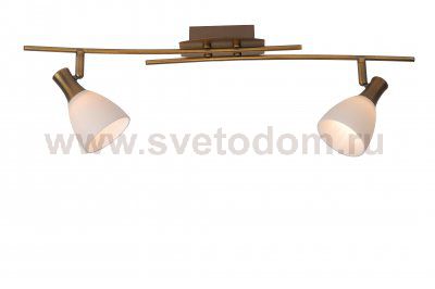 Спот Lucide 26952/22/03 ROX