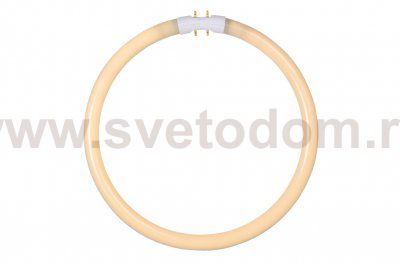 Трубчатая лампа Lucide 50105/32/31