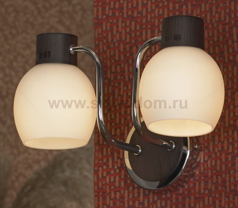 Светильник настенный бра Lussole LSC-8501-02 CARPINO