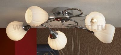 Люстра Lussole LSC-8303-05 ABRIOLA
