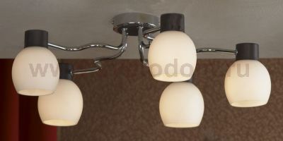 Люстра Lussole LSC-8503-05 CARPINO
