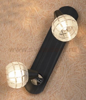 Светильник поворотный спот Lussole LSL-8601-02 SILANDRO