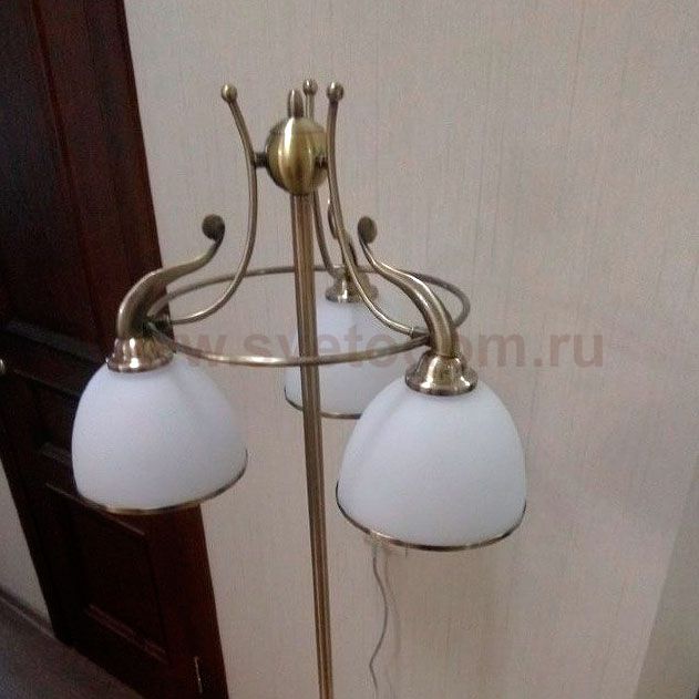 Торшер классический бронзовый Brizzi MA02401F/003 Bronze