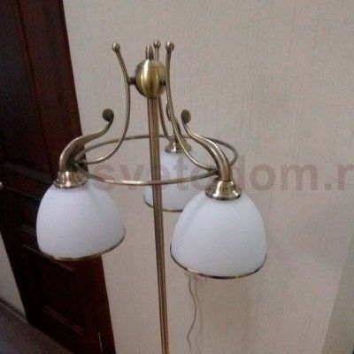 Торшер классический бронзовый Brizzi MA02401F/003 Bronze