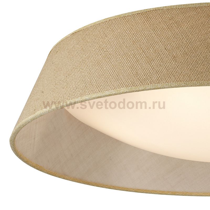 Потолочный светильник Mantra 6411