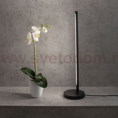 Настольная лампа Mantra 6738 TORCH