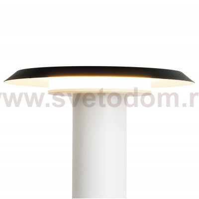 9004 Настольная лампа TINA