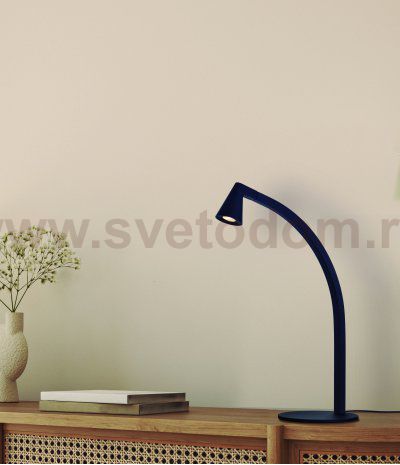 9415 Настольная лампа AFRICA