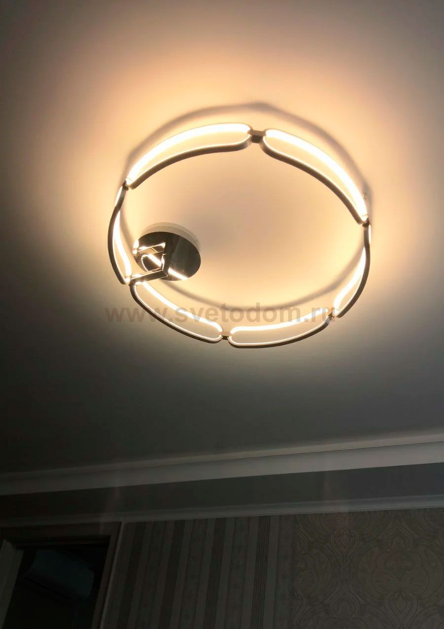 Светильник светодиодный Maytoni MOD017CL-L70N