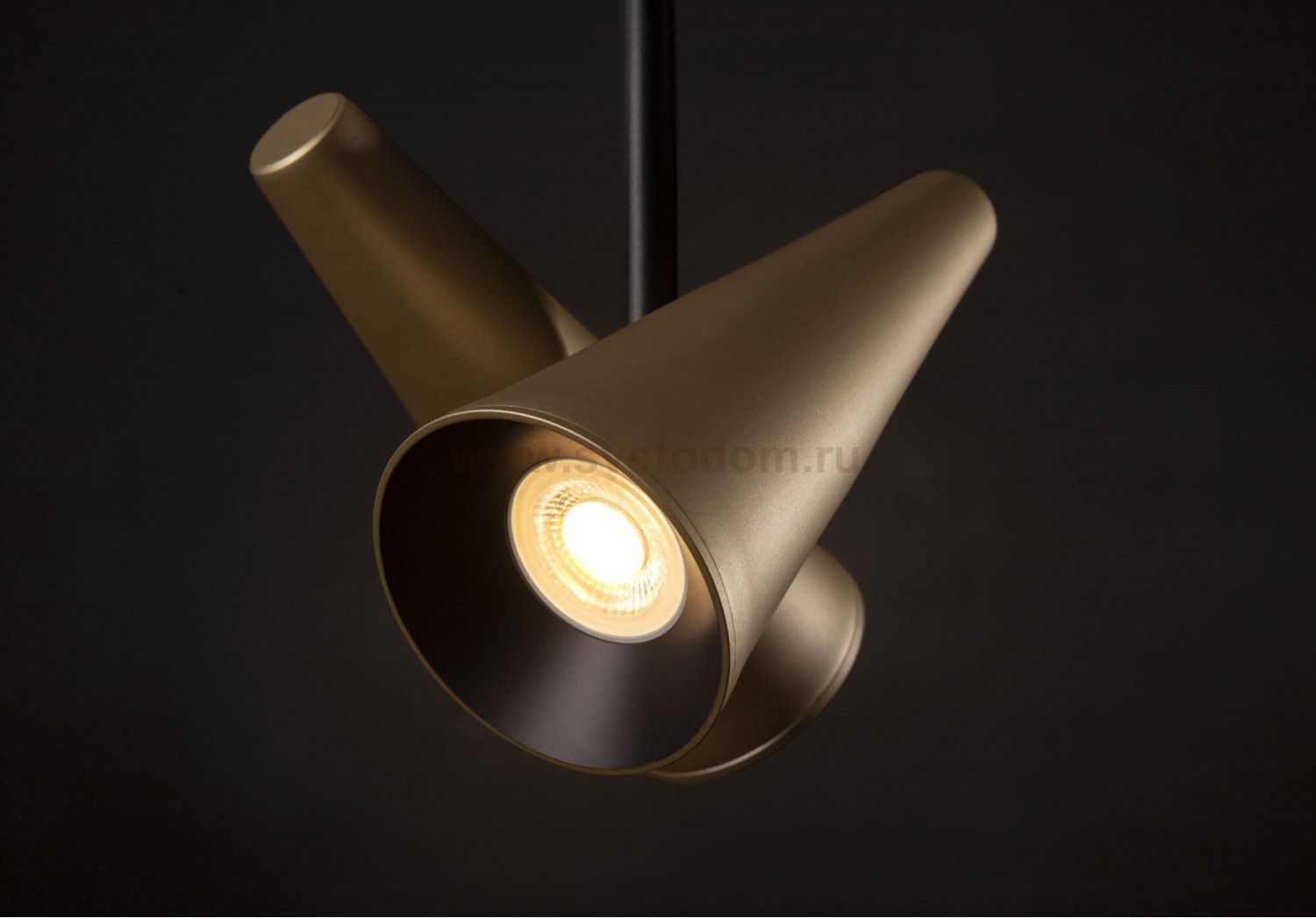 Подвесной светильник Maytoni MOD095PL-02BS