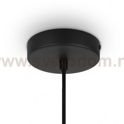 Подвесной светильник Maytoni MOD194PL-01W Roots