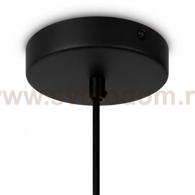 Подвесной светильник Maytoni MOD195PL-01W1 Roots