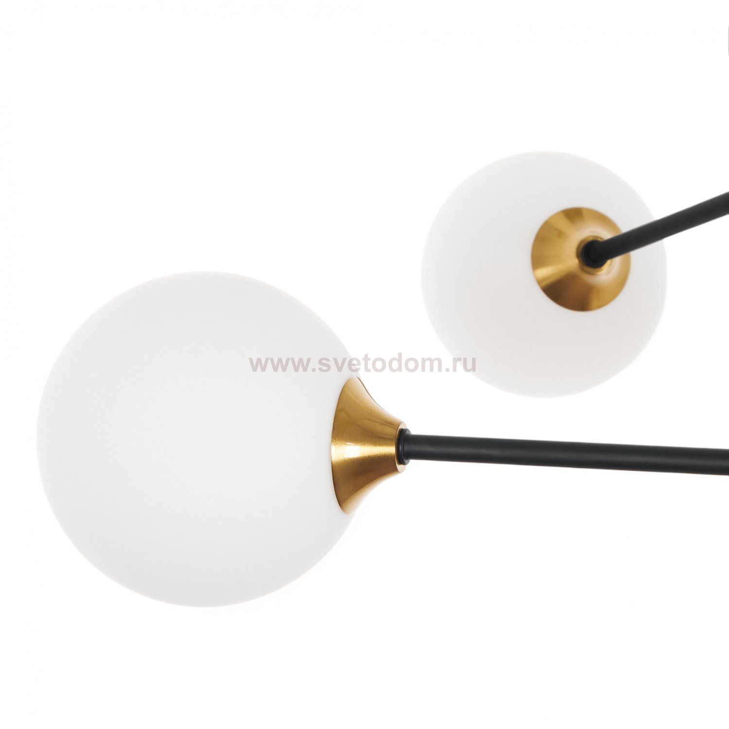 Потолочная люстра Fredy MR1100-6C MyFar