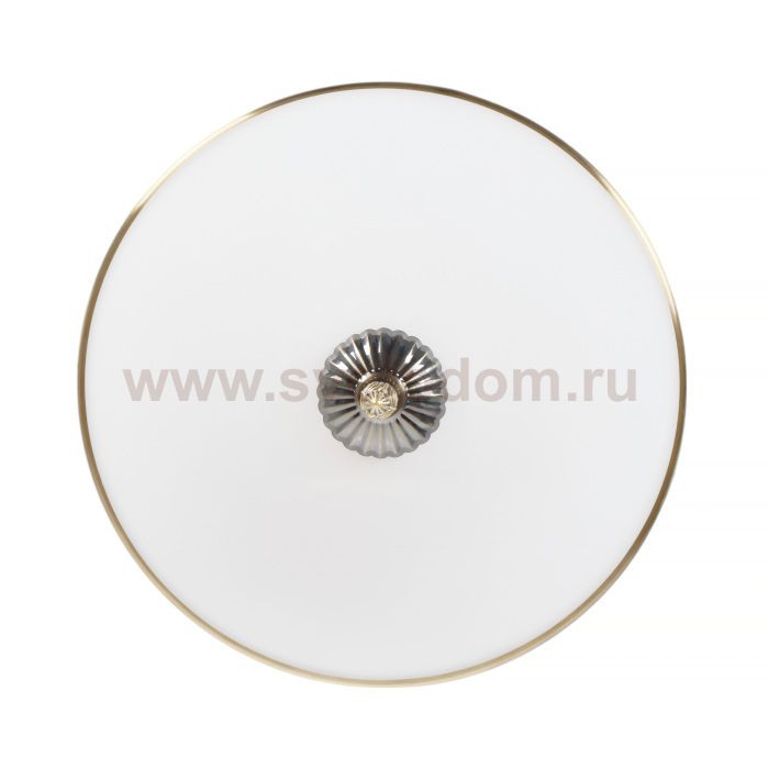 Потолочный светильник Biene MR1527-3C