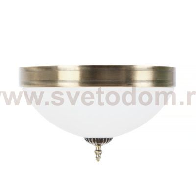 Потолочный светильник Biene MR1527-3C