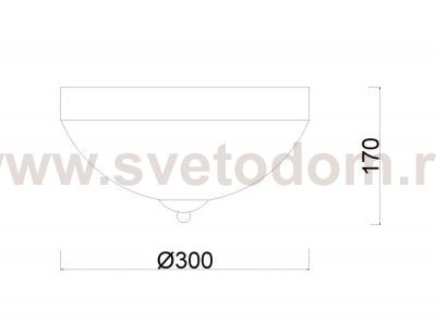Потолочный светильник Biene MR1527-3C
