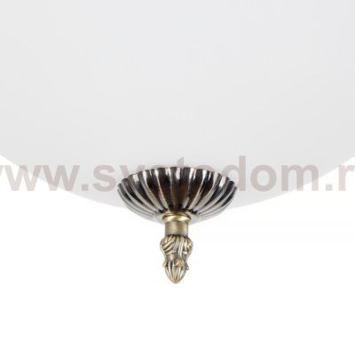 Потолочный светильник Biene MR1527-3C