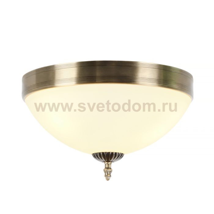 Потолочный светильник Biene MR1527-3C