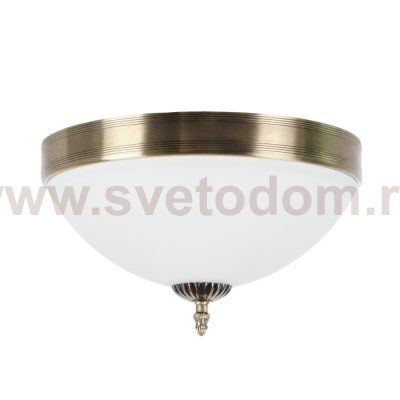 Потолочный светильник Biene MR1527-3C