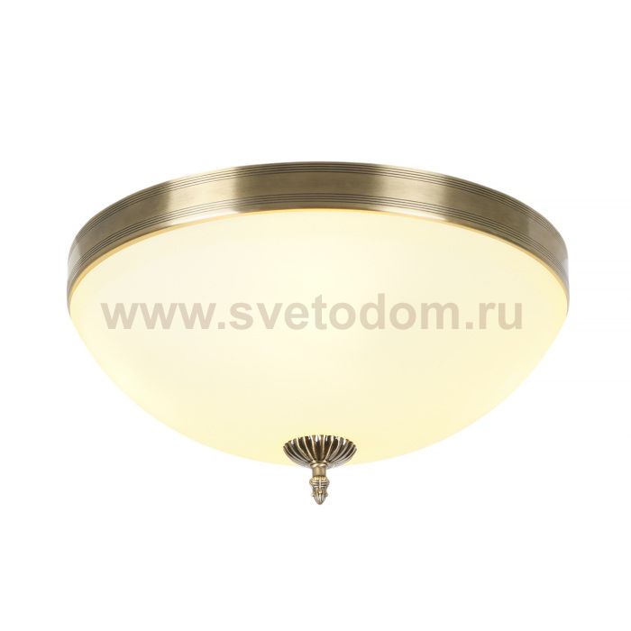 Потолочный светильник Biene MR1528-4C