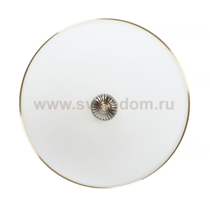 Потолочный светильник Biene MR1528-4C