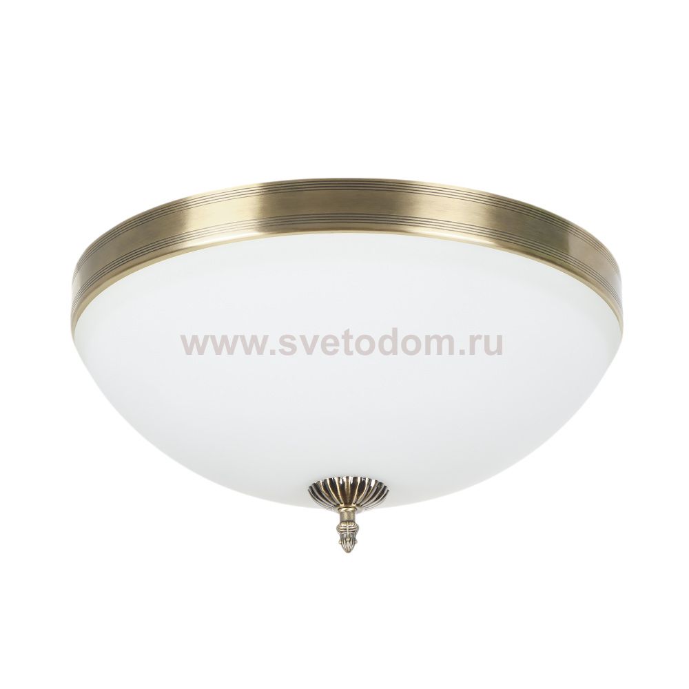 Потолочный светильник Biene MR1528-4C