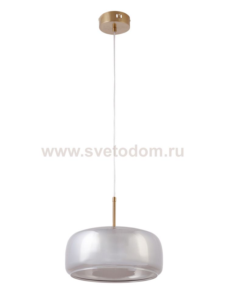 Подвесной светильник Charlie MR2131-1PL