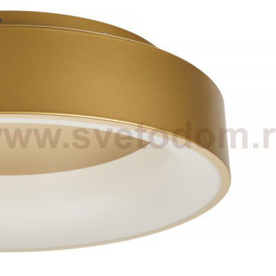 Потолочный светильник Shannon MR2195-1PL