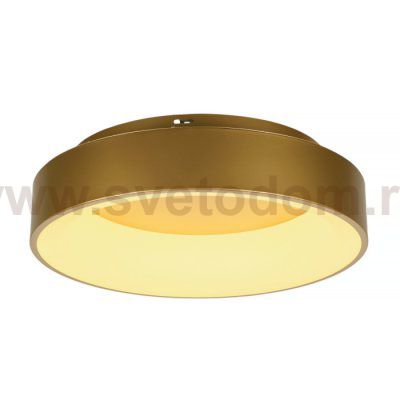 Потолочный светильник Shannon MR2195-1PL