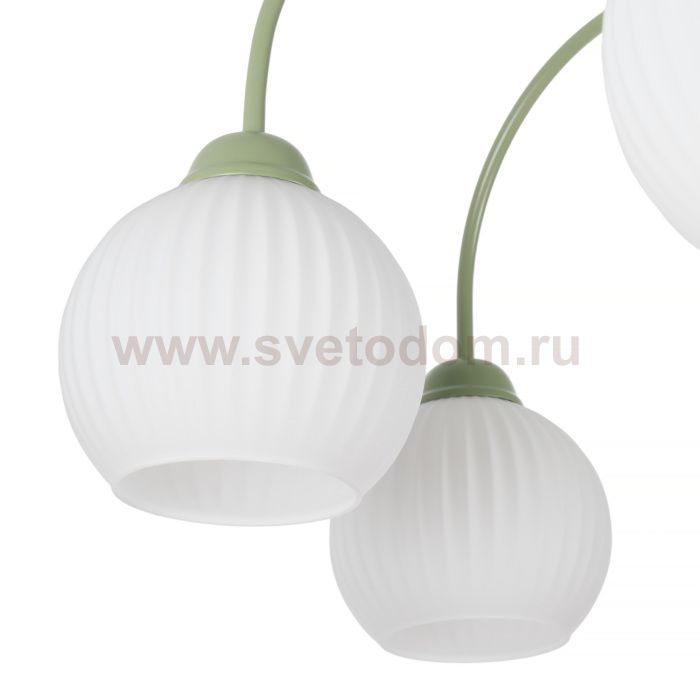 Потолочная люстра Flora MR2271-6C