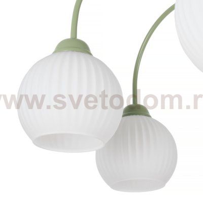 Потолочная люстра Flora MR2271-6C