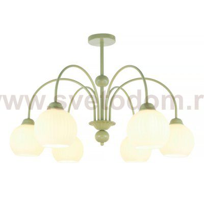 Потолочная люстра Flora MR2271-6C