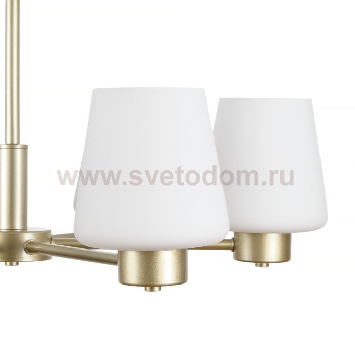 Подвесная люстра Mark MR2341-6P