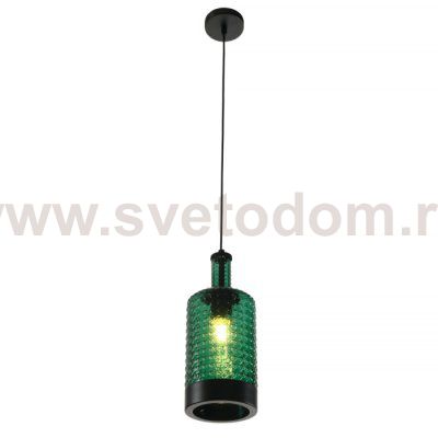 Подвесной светильник Edwin MR2463-1P