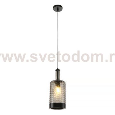 Подвесной светильник Edwin MR2464-1P