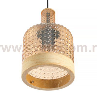 Подвесной светильник Edwin MR2471-1P