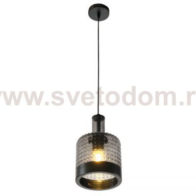 Подвесной светильник Edwin MR2474-1P