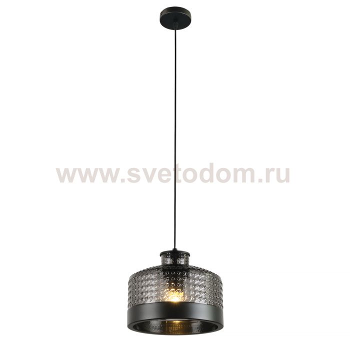 Подвесной светильник Edwin MR2484-1P