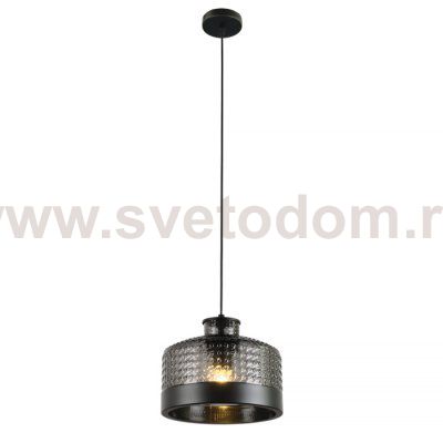 Подвесной светильник Edwin MR2484-1P