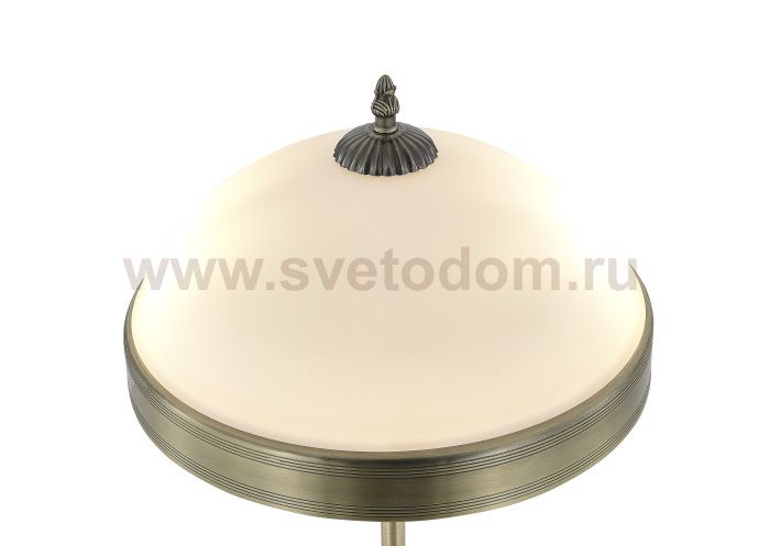 Интерьерная настольная лампа Biene MR2522-2T