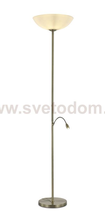 Торшер Biene MR2525-2F