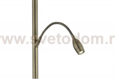 Торшер Biene MR2525-2F