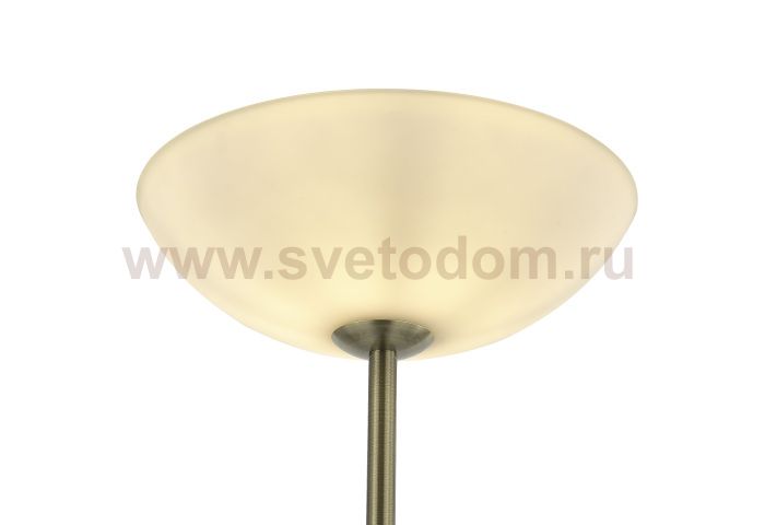 Торшер Biene MR2525-2F