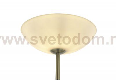 Торшер Biene MR2525-2F